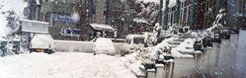 Hotel De Park Shimla Zewnętrze zdjęcie